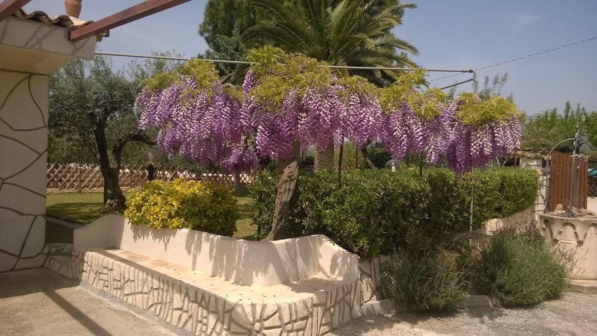 Le Zarafe Villa Ribera Bagian luar foto